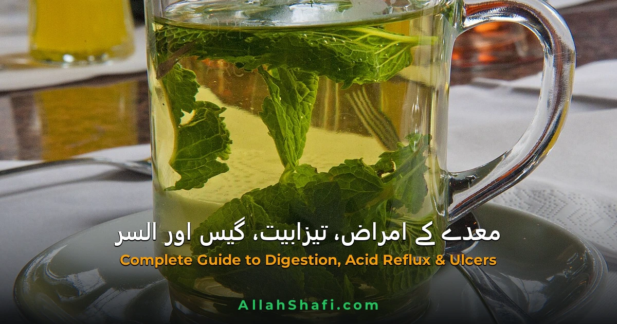 معدے کے امراض، تیزابیت، گیس اور السر: علامات، اسباب اور ہومیوپیتھک و ہربل علاج کی مکمل گائیڈ