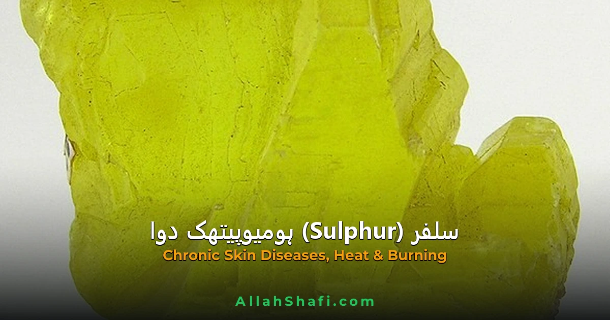 سلفر (Sulphur) — مکمل ہومیوپیتھک گائیڈ | علامات، موڈیلٹیز، خوراک اور ادویاتی تعلقات