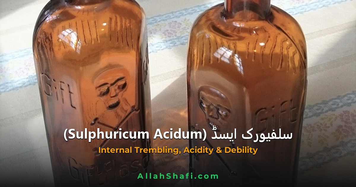 Sulphuricum Acidum (Sulphuricum Acidum) — ہومیوپیتھک دوا کا مکمل تعارف