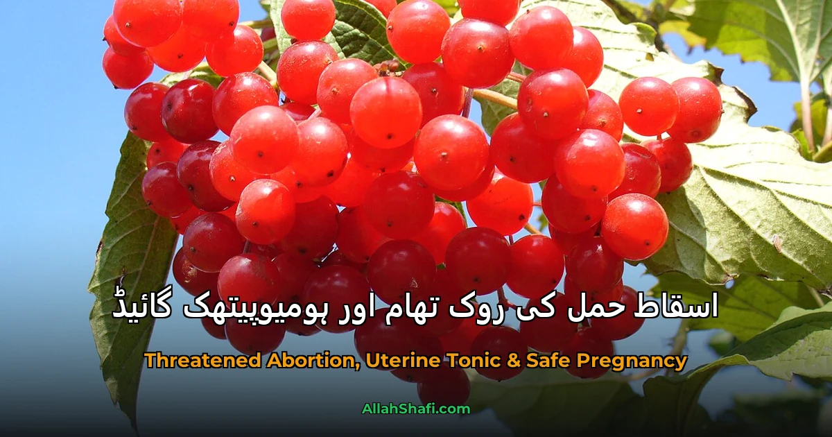اسقاطِ حمل کی روک تھام اور ہومیوپیتھک گائیڈ