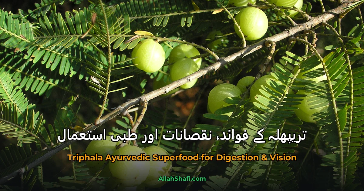 تریپھلہ کے فوائد، نقصانات اور طبی استعمال