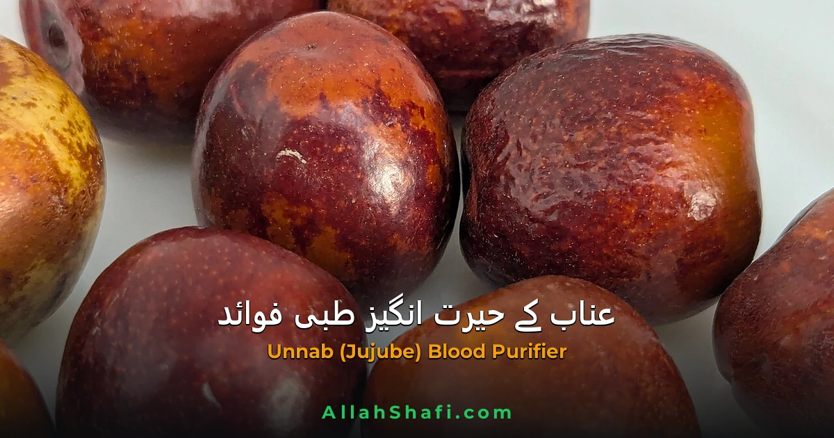 عناب (Unnab / Ziziphus Jujuba) — مصفیِ خون، نزلہ زکام اور جلدی امراض کا ہربل علاج