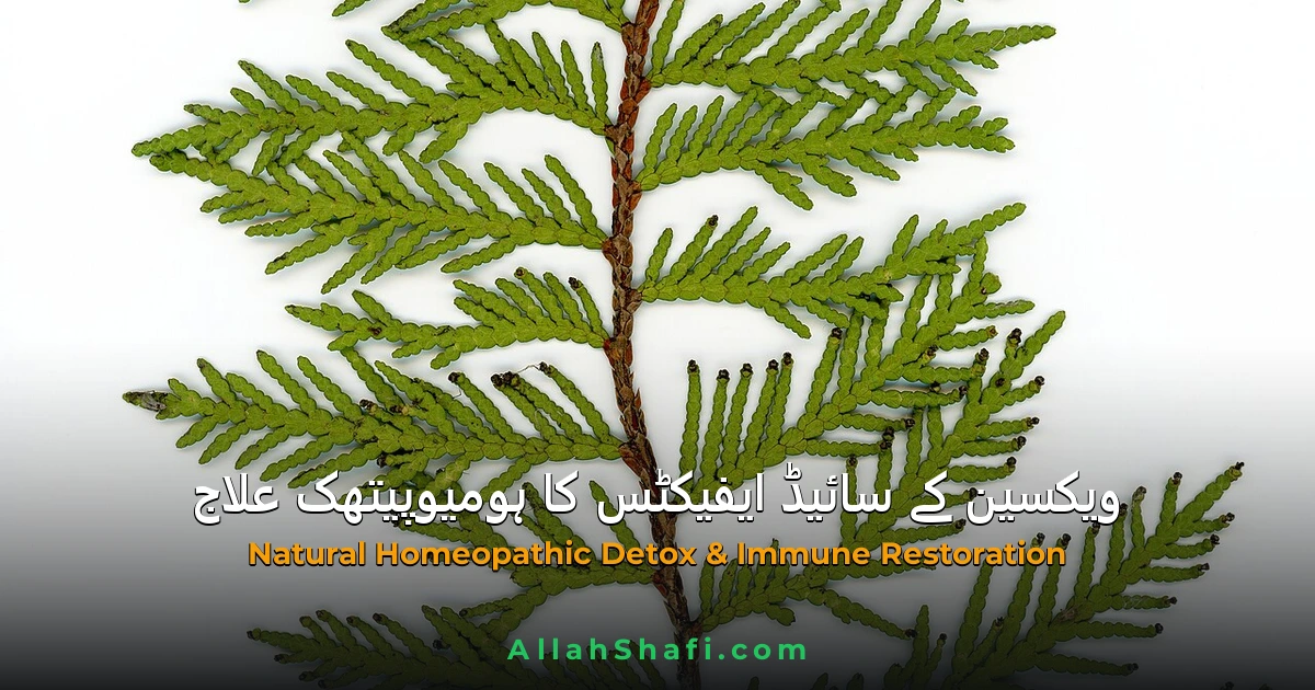 HOMEOPATHIC MEDICINE FOR VACCINE SIDE EFFECTS