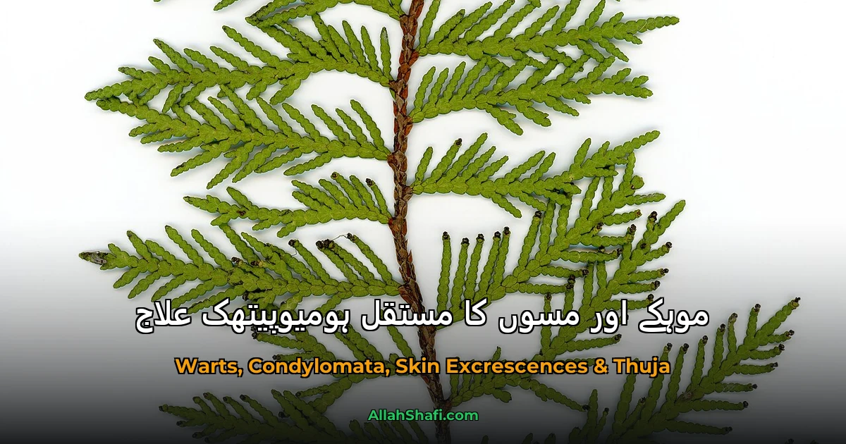 موہکے اور مسوں کا مستقل ہومیوپیتھک علاج