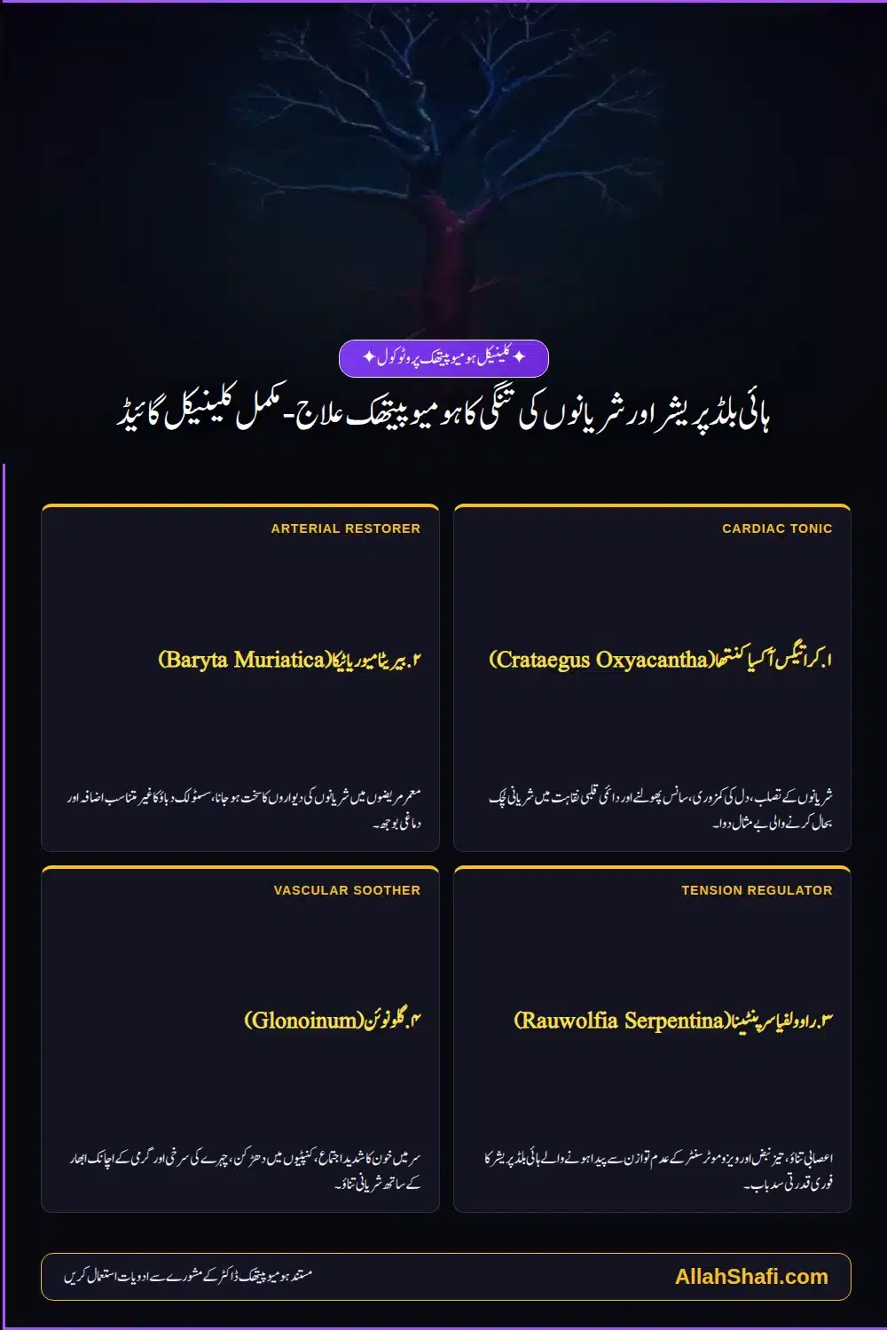 ہائی بلڈ پریشر اور شریانوں کی تنگی کا ہومیوپیتھک علاج - مکمل کلینیکل گائیڈ