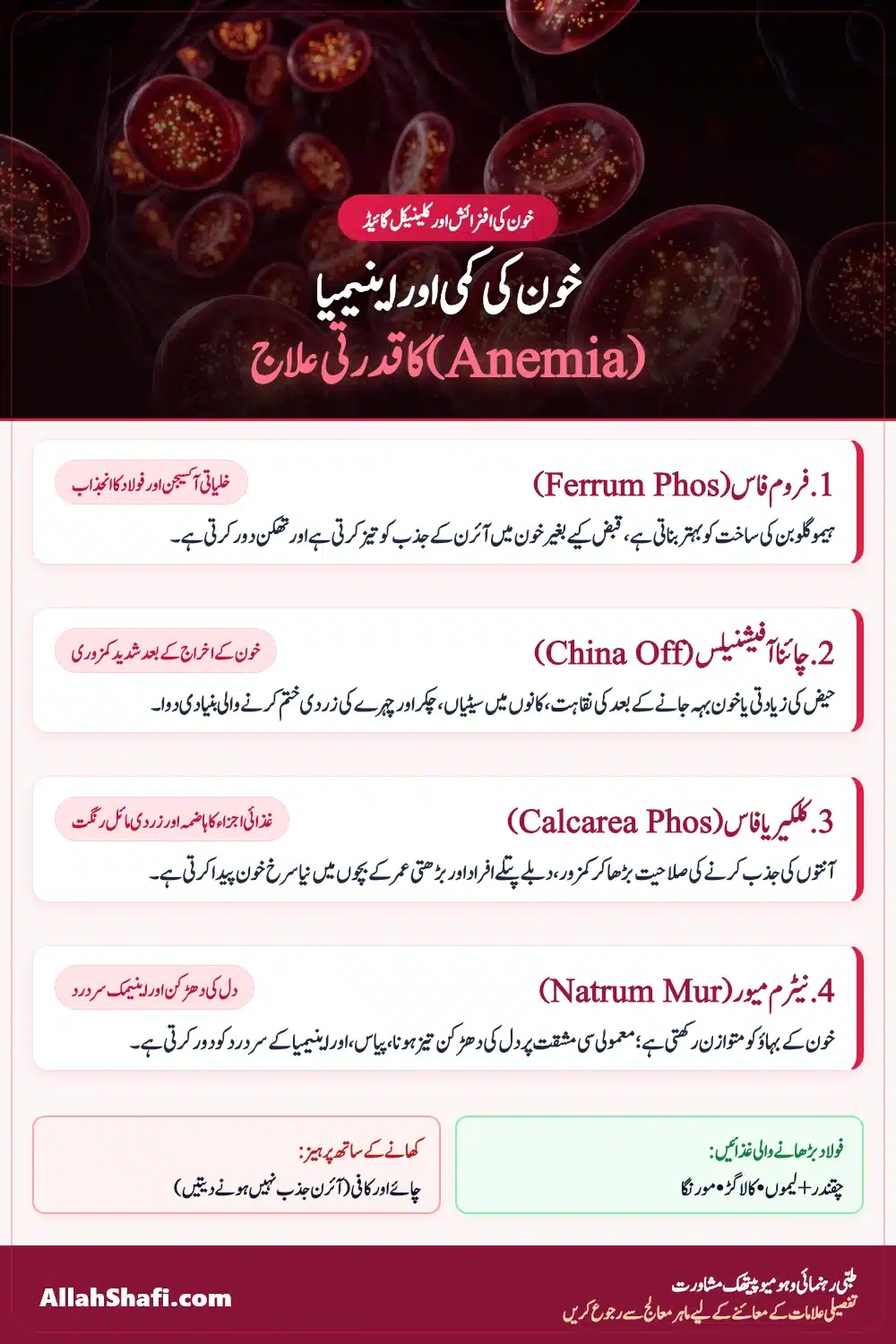 خون کی کمی اور اینیمیا کا قدرتی علاج پن گائیڈ
