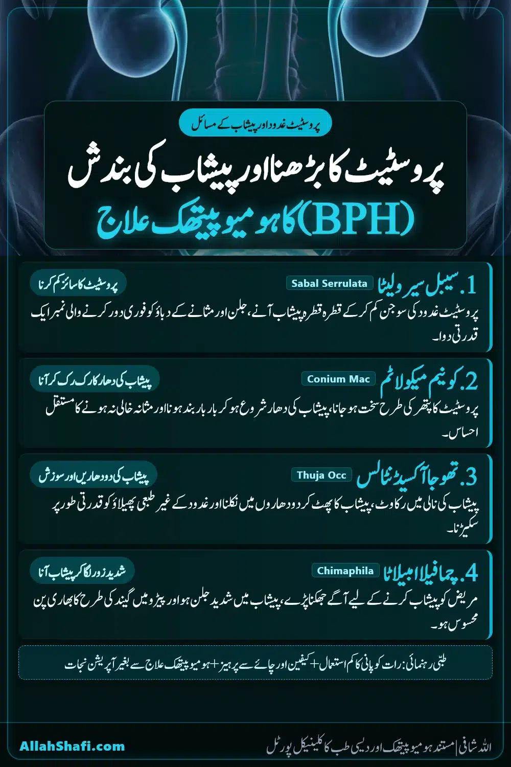 پروسٹیٹ غدود کا بڑھنا BPH اور پیشاب کی رکاوٹ کا ہومیوپیتھک علاج پنٹرسٹ پن