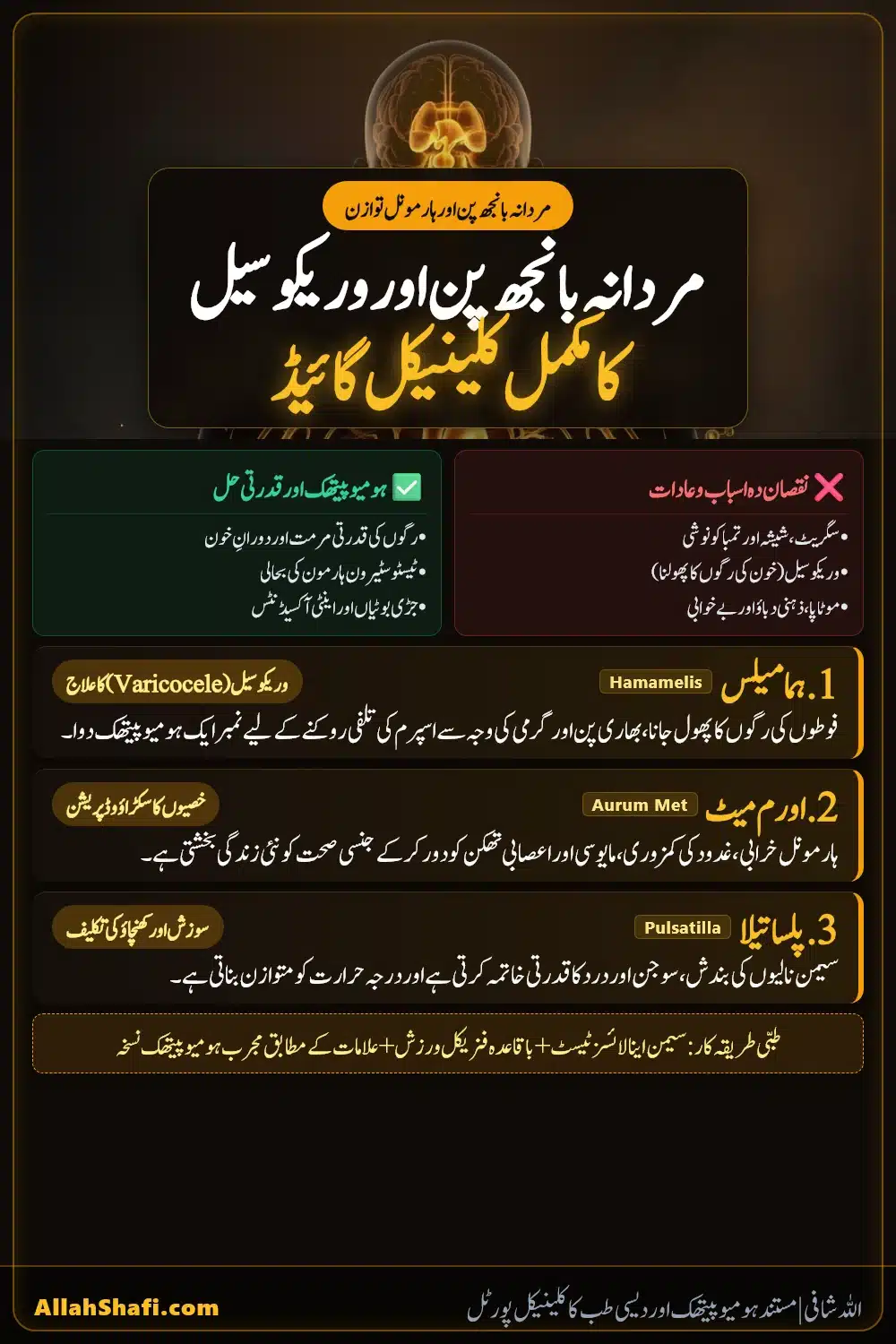 مردانہ بانجھ پن اور وریکوسیل کا ہومیوپیتھک طریقہ علاج کلینیکل پنٹرسٹ گائیڈ