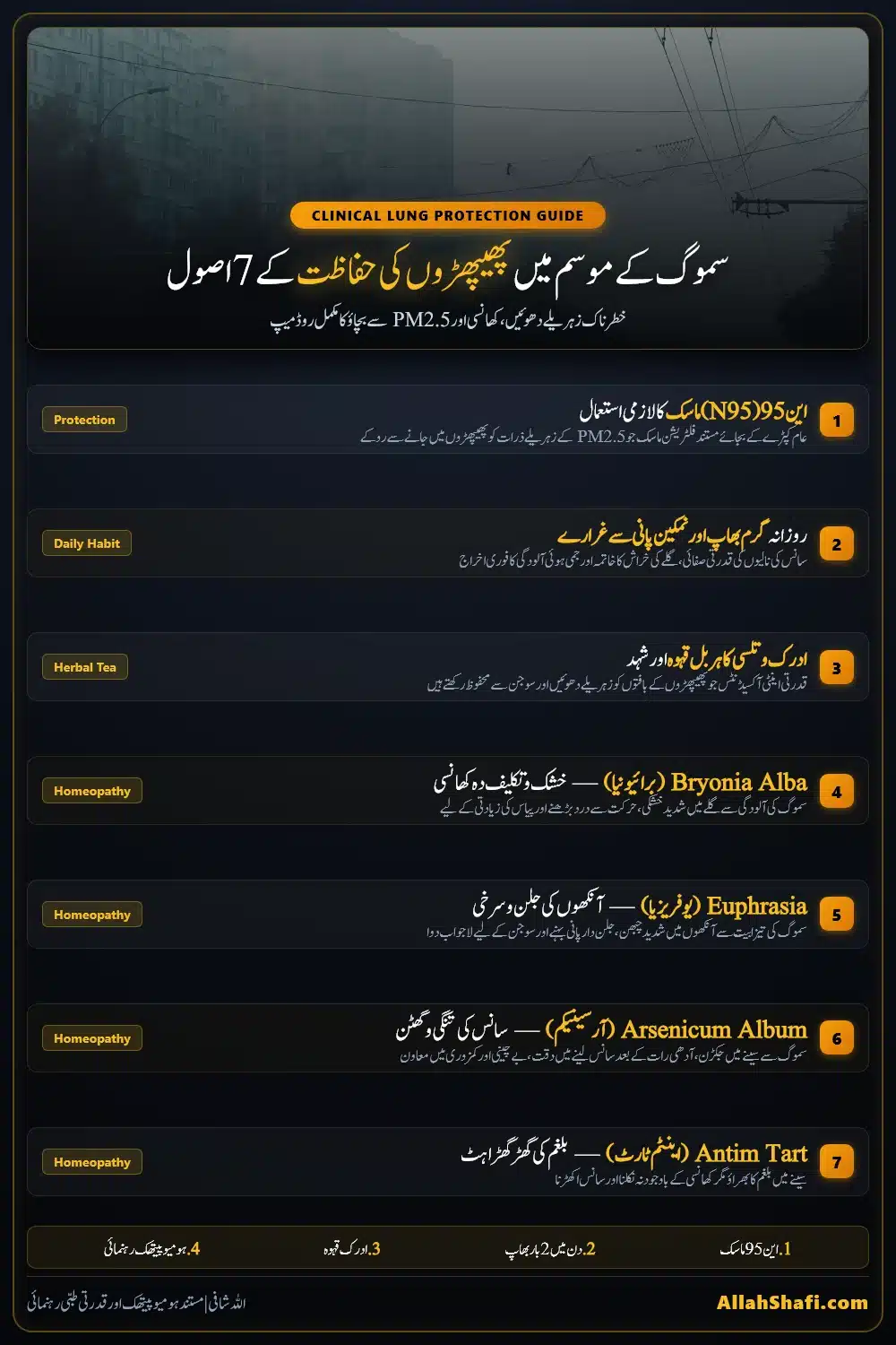 سموگ کے موسم میں پھیپھڑوں کی حفاظت کے 7 سنہری اصول اور ہومیوپیتھک رہنمائی