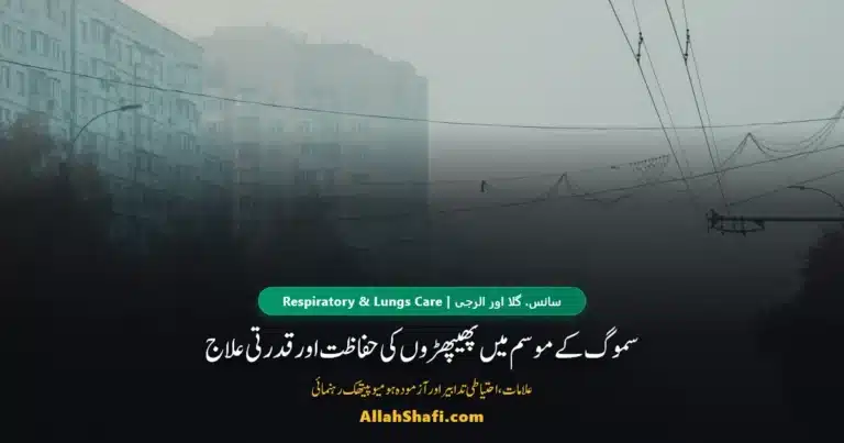 سموگ کے موسم میں پھیپھڑوں کی حفاظت اور قدرتی علاج: علامات اور ہومیوپیتھک رہنمائی